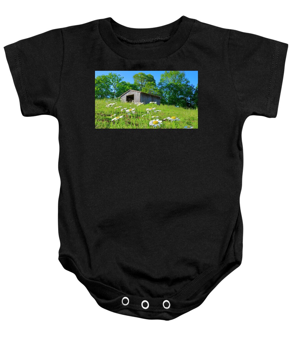 Barn Baby Onesie featuring the photograph Flowering Hillside Meadow by The James Roney Collection