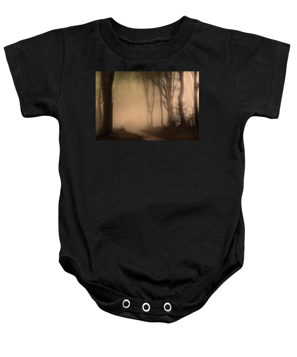 Autumn Baby Onesie featuring the photograph Follow the Light by Tim Abeln