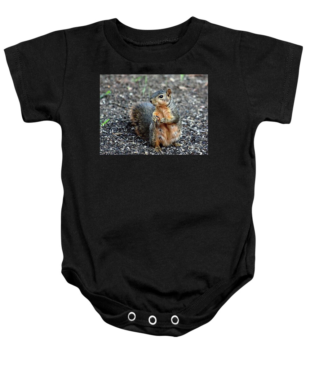 Nature Baby Onesie featuring the photograph Fox Squirrel Breakfast by Sheila Brown