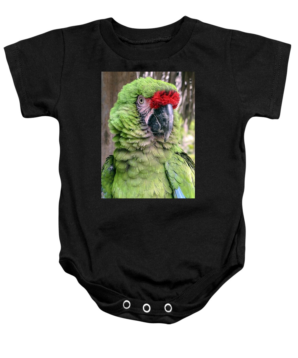 Portrait Baby Onesie featuring the photograph George the Parrot by Bob Slitzan