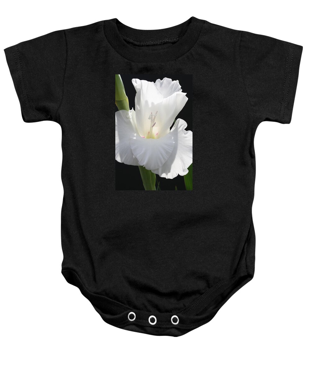 Gladiolus Baby Onesie featuring the photograph Gladiolus Chef by Tammy Pool