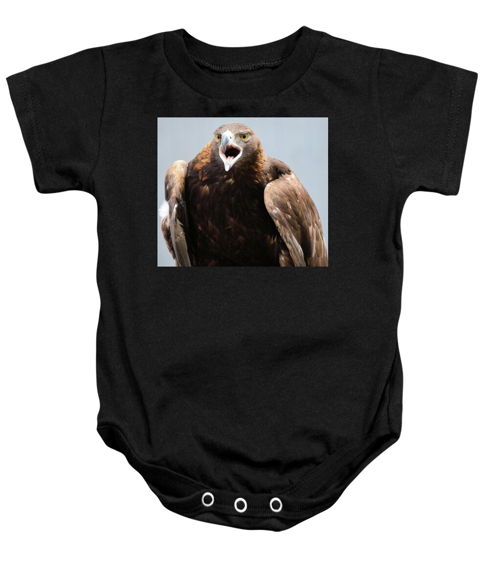 Eagles Baby Onesie featuring the photograph Golden Eagle by Charles HALL
