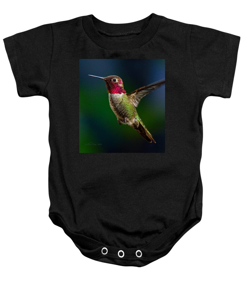 Bird Baby Onesie featuring the photograph Good Friday Visitor by Brian Tada
