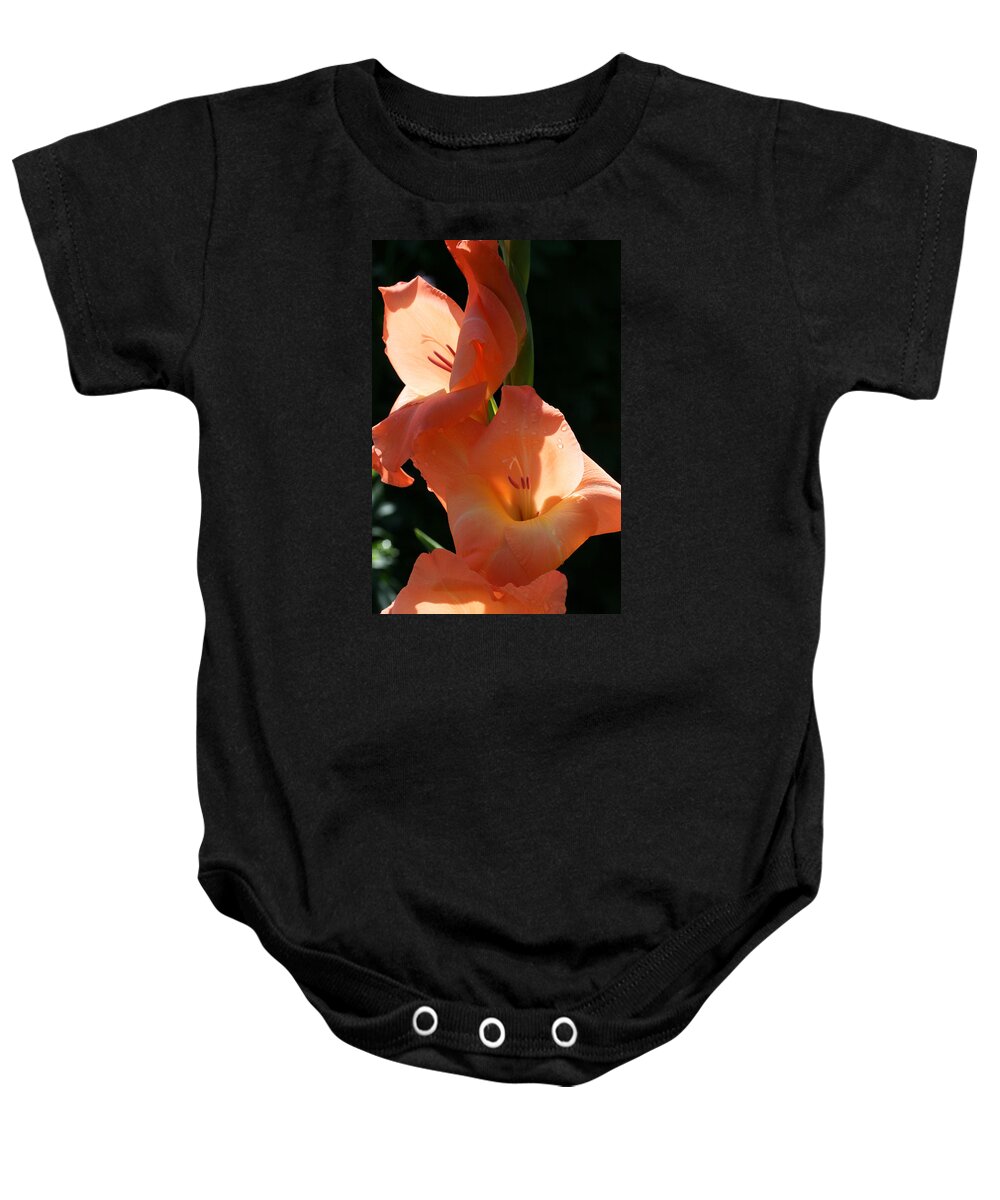 Gladiolus Baby Onesie featuring the photograph Graceful Gladiolus by Tammy Pool