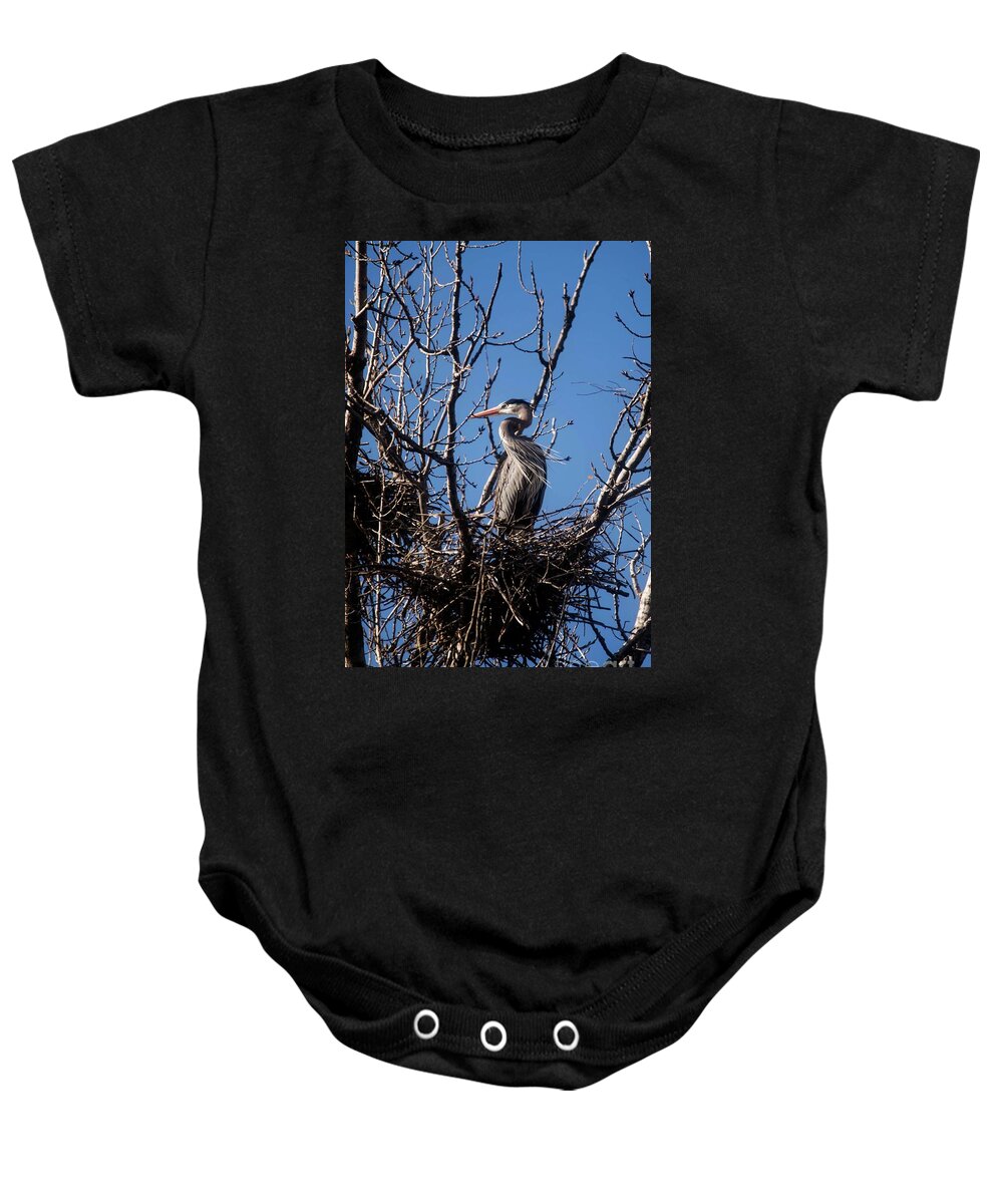 Blue Heron Baby Onesie featuring the photograph Great Blue Heron - 1 by David Bearden