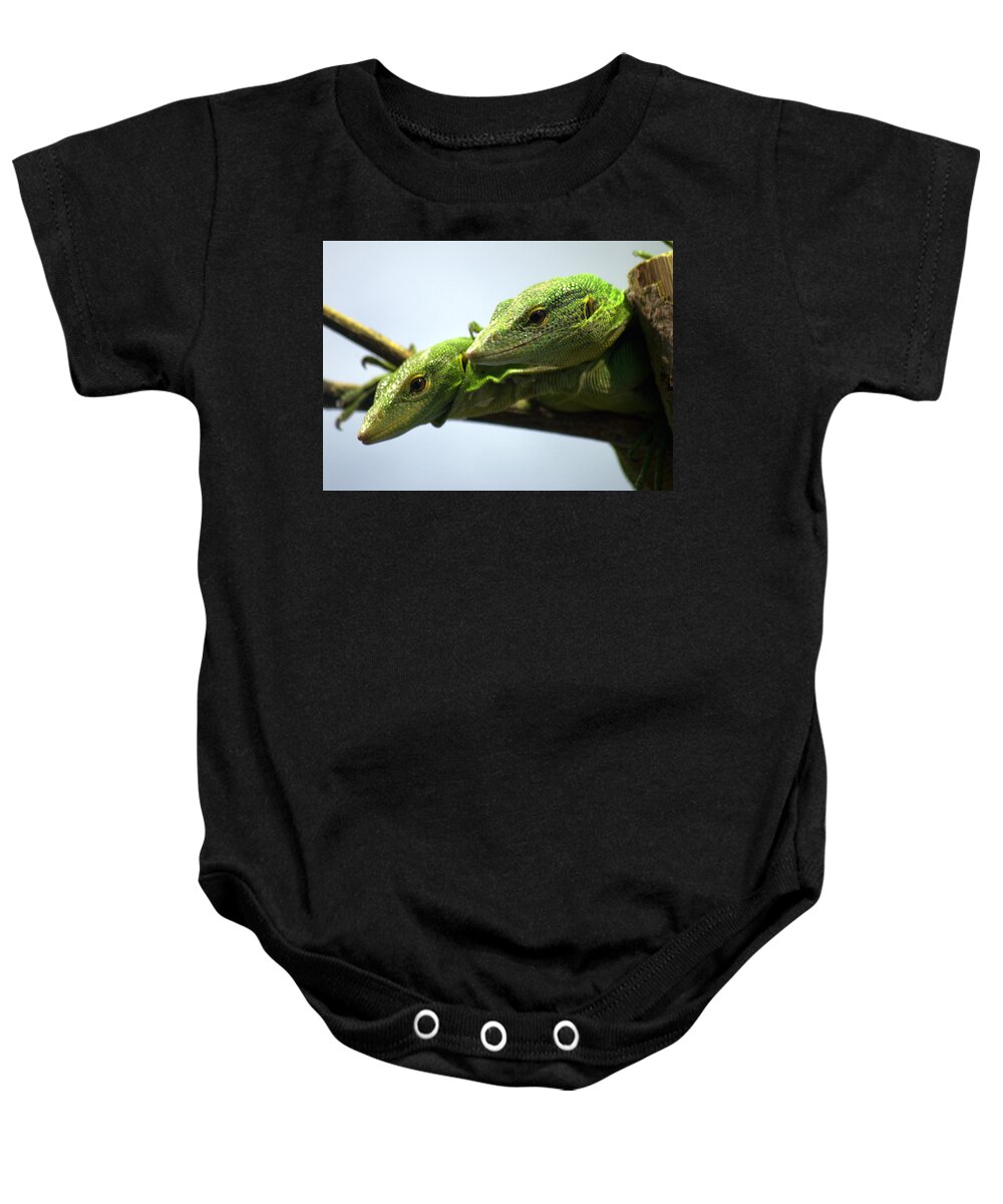 Lizard Baby Onesie featuring the photograph Green Tree Monitors Varanus prasinus by Nathan Abbott