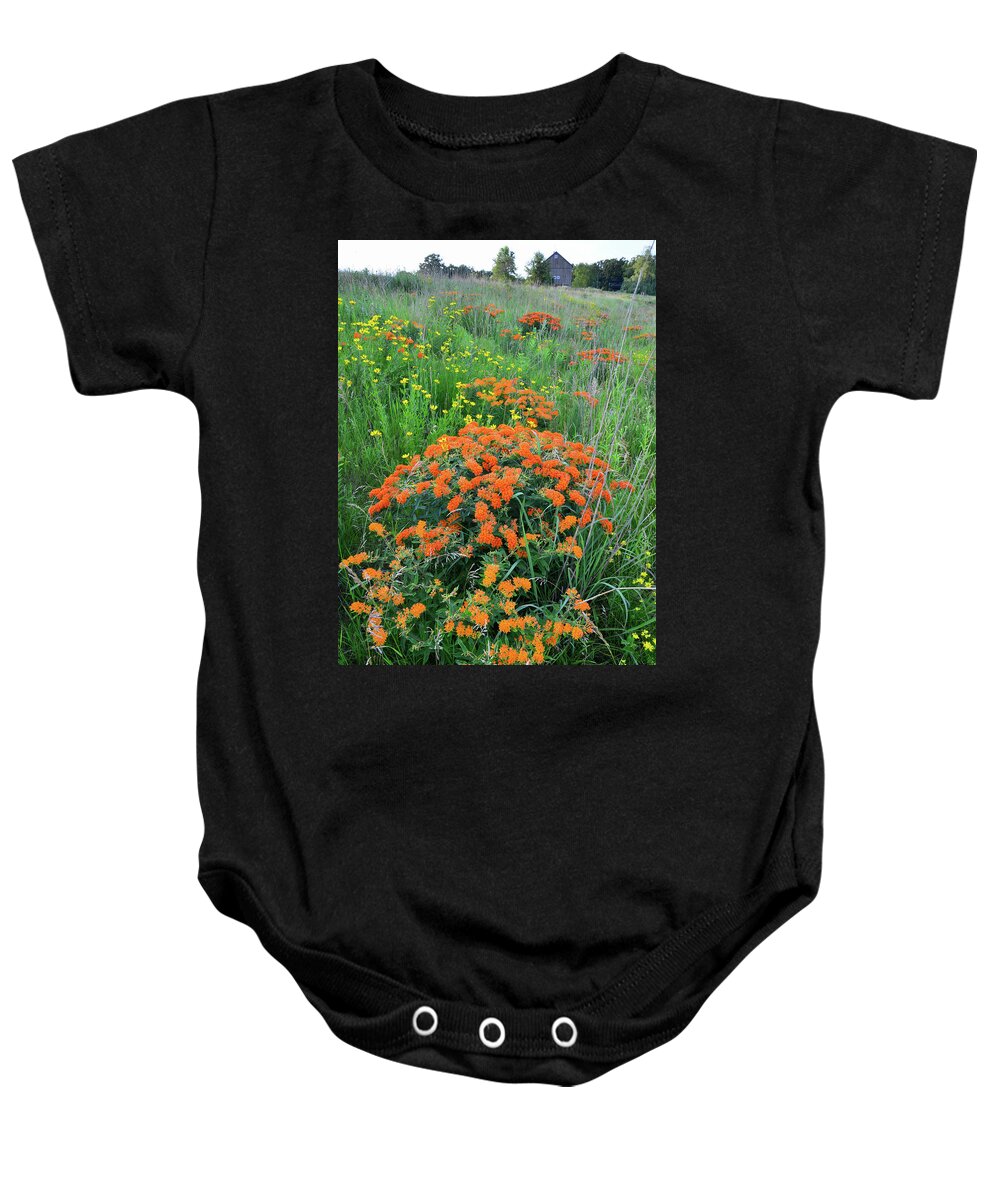 Illinois Baby Onesie featuring the photograph Hackmatack NWR Butterfly Weed by Ray Mathis