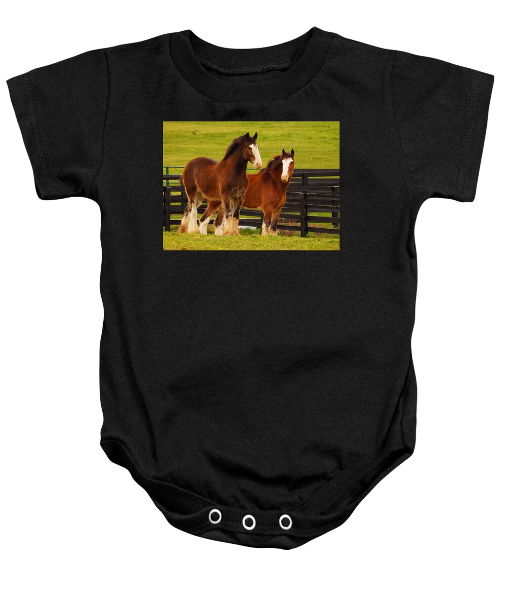Horses Baby Onesie featuring the photograph Hanging With My Friend by Beth Collins