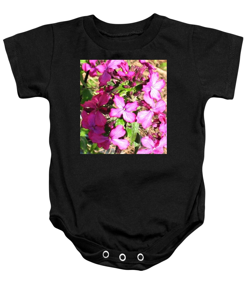 Honesty Baby Onesie featuring the photograph Honesty by Hazel Holland