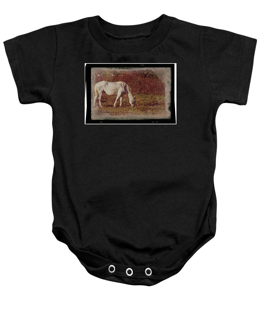 Wildlife Baby Onesie featuring the photograph Horse Grazing by John Benedict