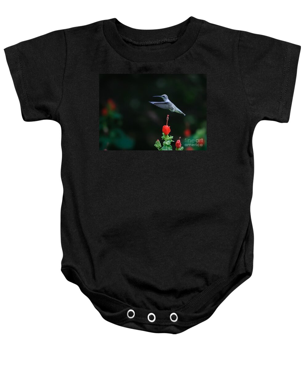 Hover Baby Onesie featuring the photograph Hover by Charles Dobbs