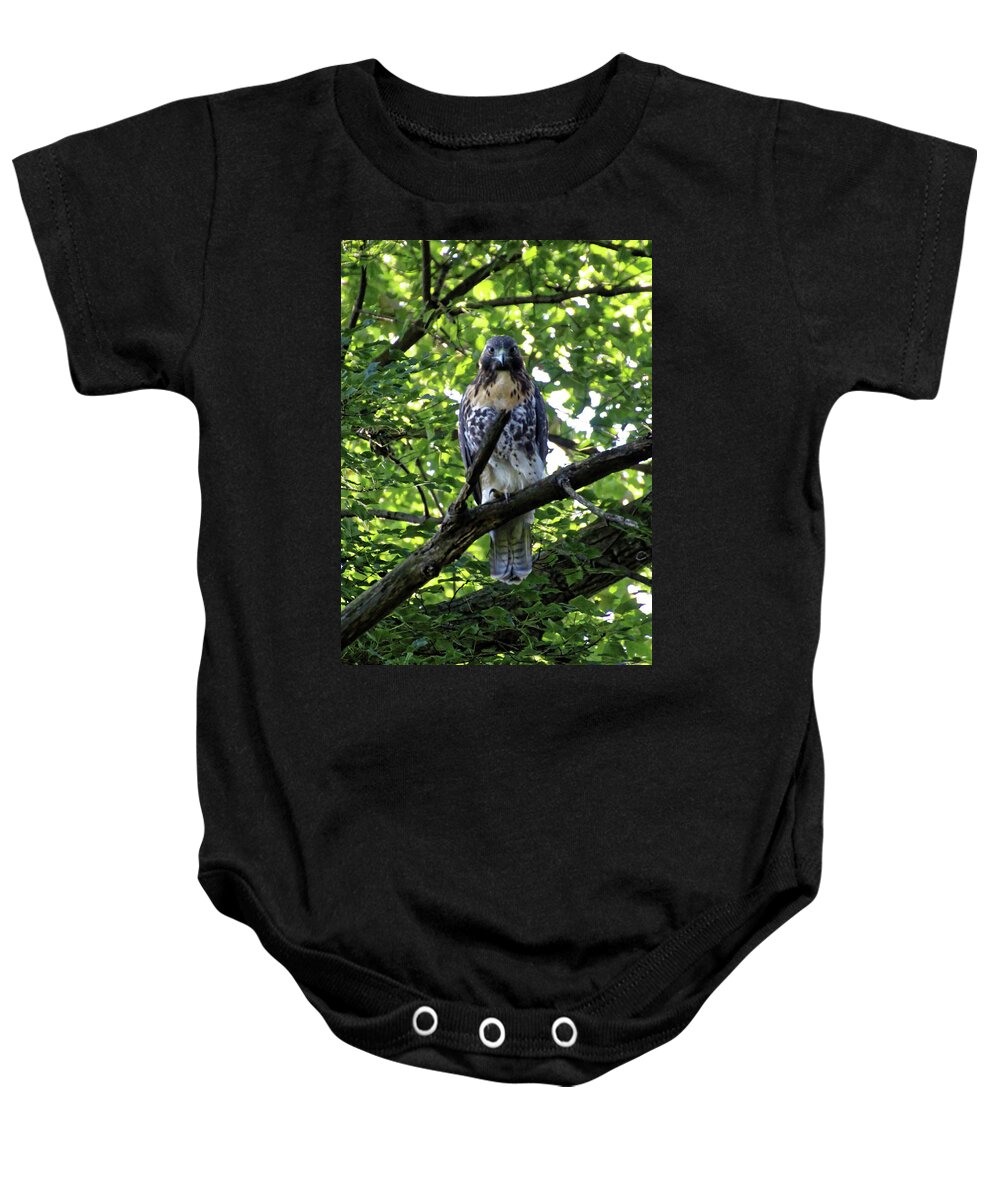 Hawk Baby Onesie featuring the photograph I See You #1 by Doolittle Photography and Art