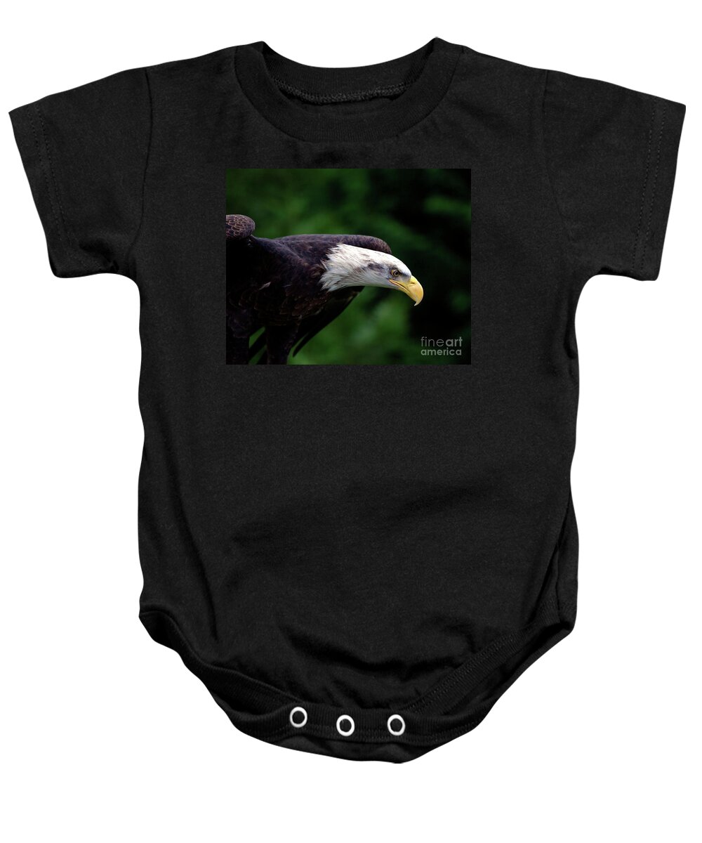 Nature Baby Onesie featuring the photograph In For The Kill by Stephen Melia
