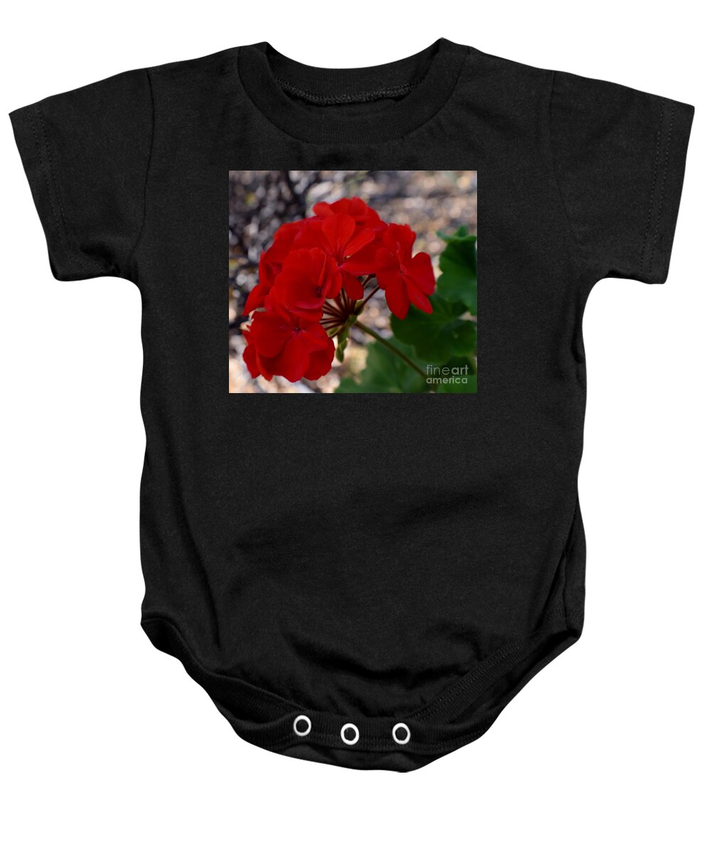 Arizona Baby Onesie featuring the photograph In Full Bloom by Janet Marie