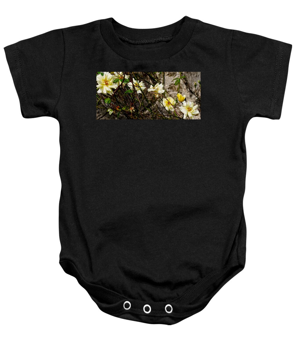 Roses Baby Onesie featuring the photograph In opposite corners. by Elena Perelman