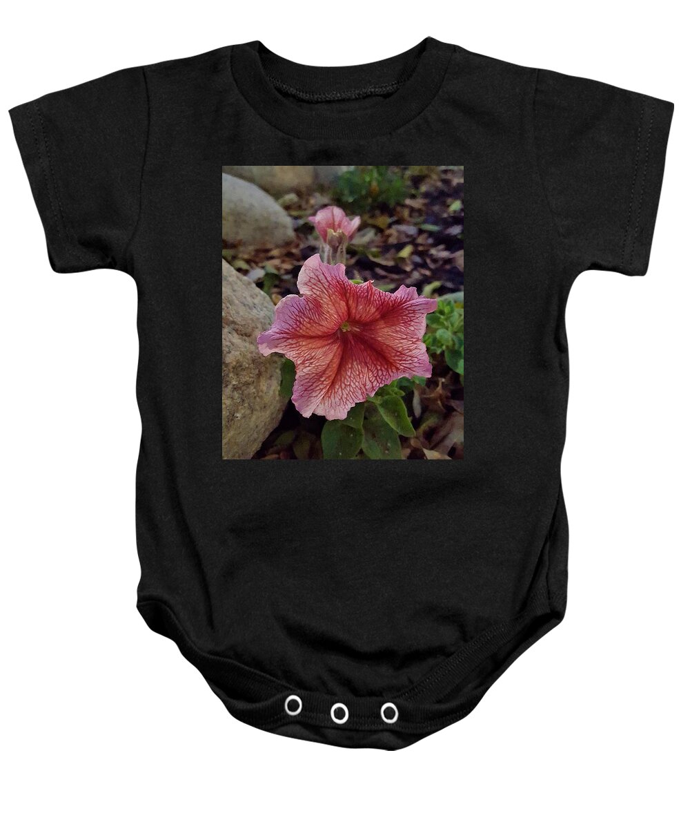 Wave Petunia Baby Onesie featuring the photograph In The Bed by Angela J Wright