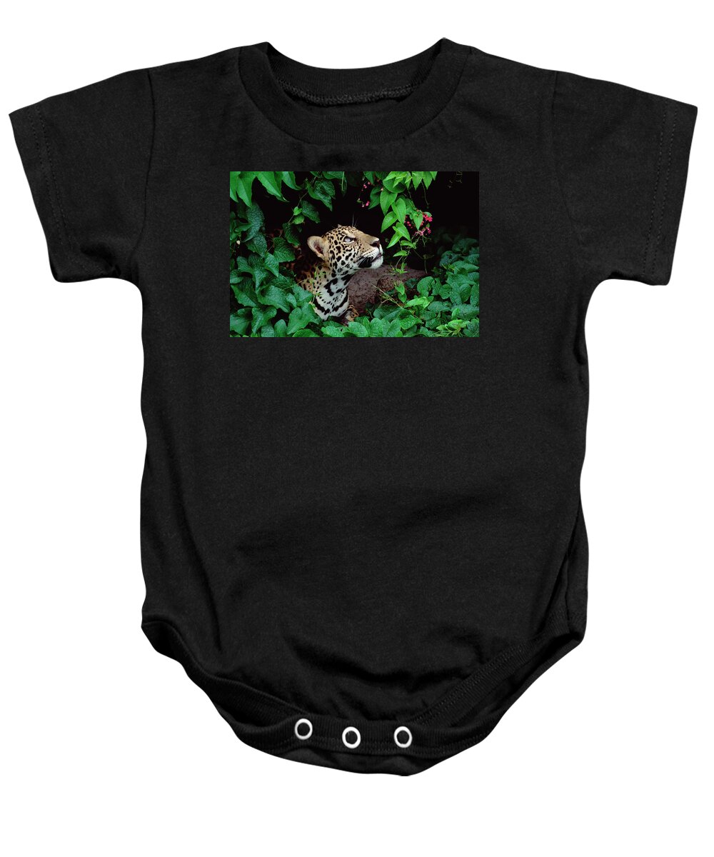 Mp Baby Onesie featuring the photograph Jaguar Panthera Onca Peeking by Claus Meyer