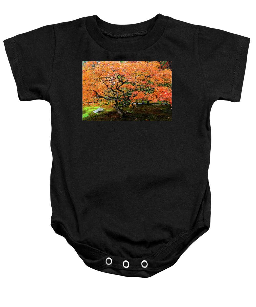 Landscape Baby Onesie featuring the photograph Japanese maple - Japanese garden by Hisao Mogi