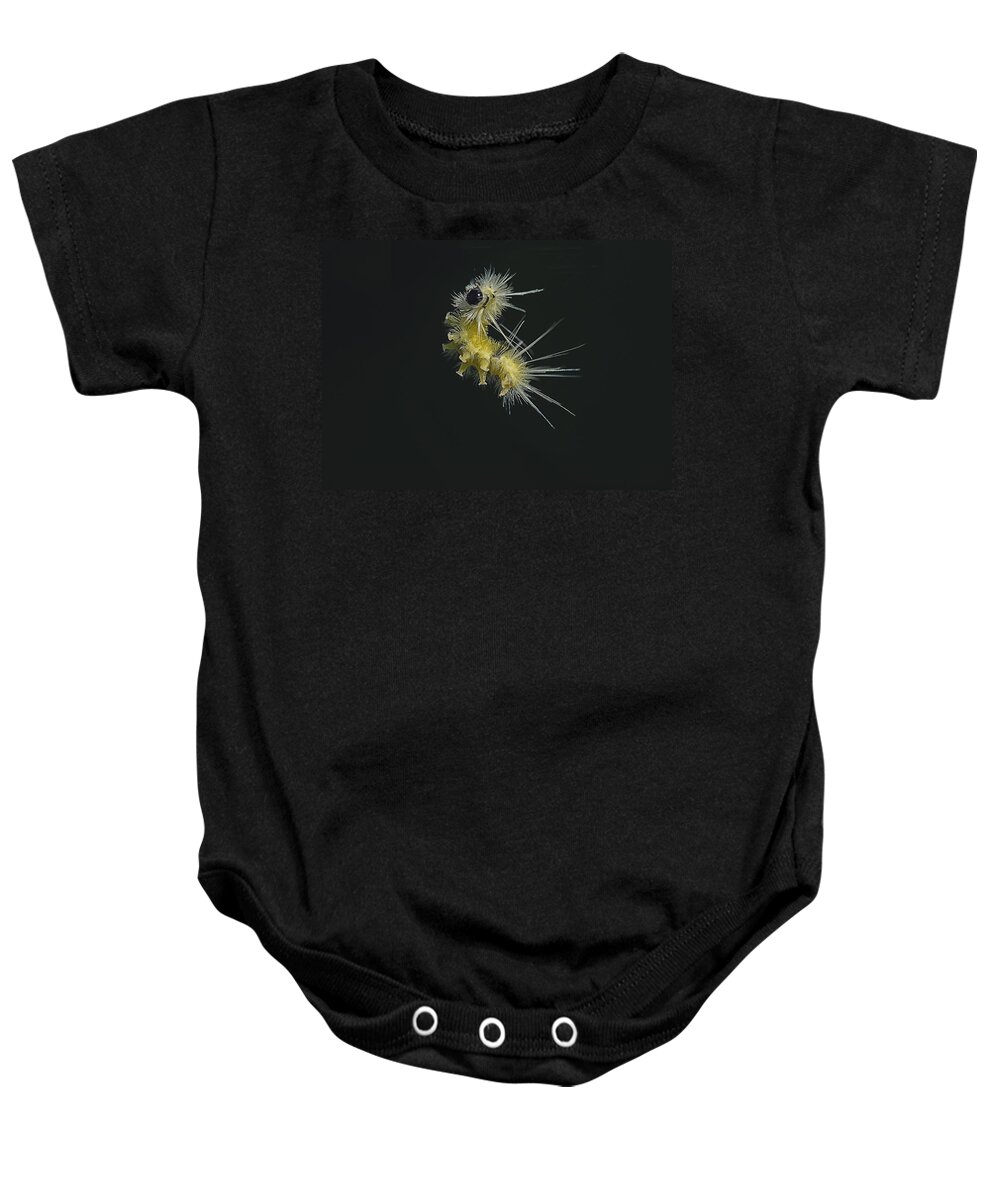 Caterpillar Baby Onesie featuring the photograph Jump by Sue Capuano
