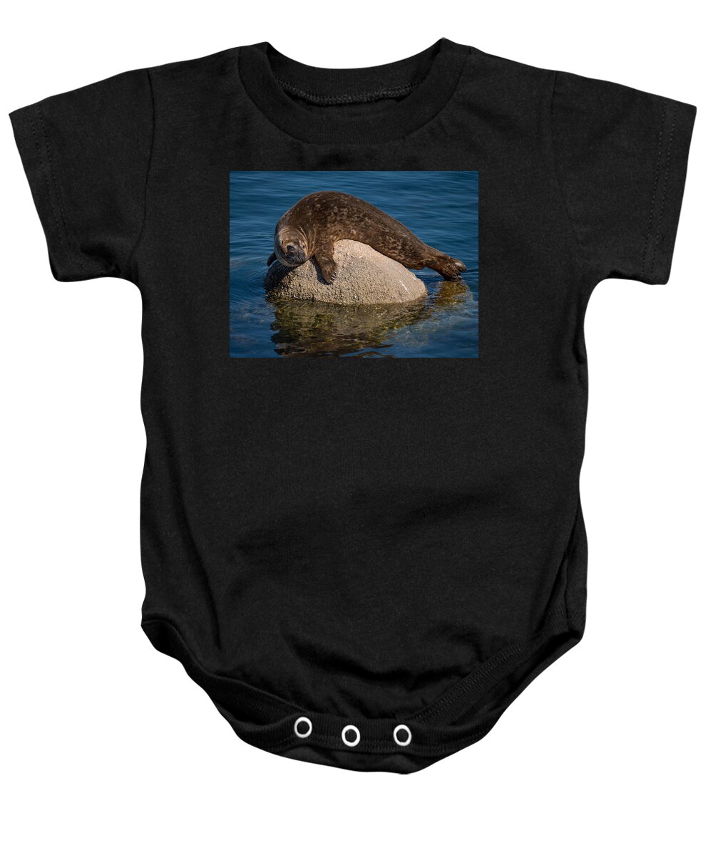 Harbor Seal Baby Onesie featuring the photograph Just Getting A Tan. Man by Derek Dean