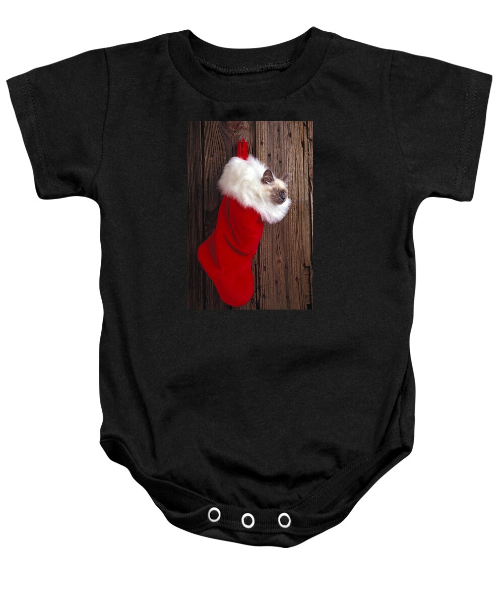 Kitten Baby Onesie featuring the photograph Kitten in stocking by Garry Gay
