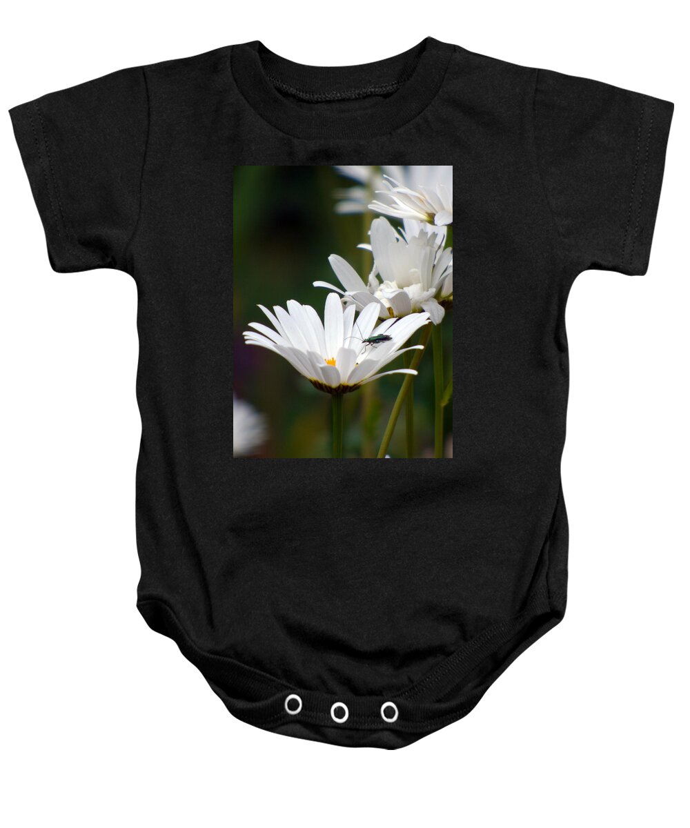 Daisy Baby Onesie featuring the photograph Large Daisies with Bug by Lynn Bolt