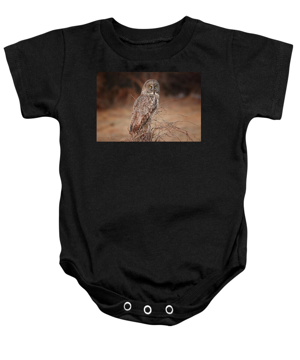 Owl Baby Onesie featuring the photograph Last Light Great Gray Owl by Duane Cross