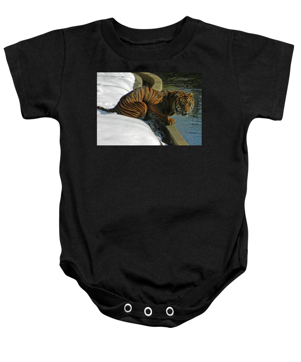 Laying Low Baby Onesie featuring the photograph Laying Low by Emmy Vickers