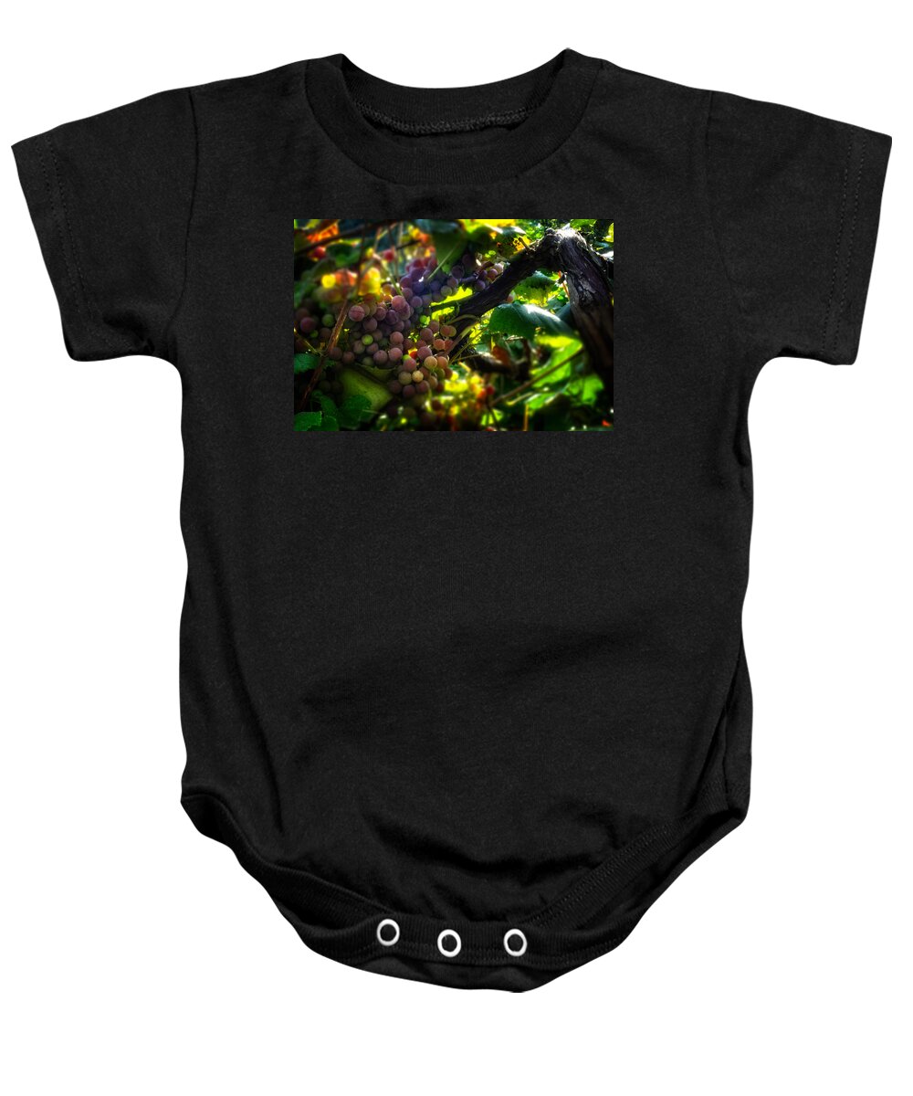 Grape Vine Baby Onesie featuring the photograph Light On The Fruit by Greg and Chrystal Mimbs