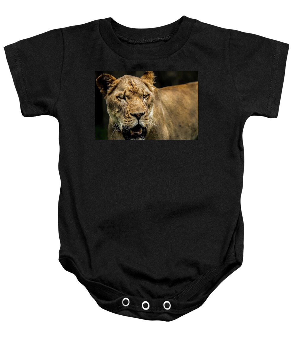 Panthera Baby Onesie featuring the photograph Lioness by Ron Pate
