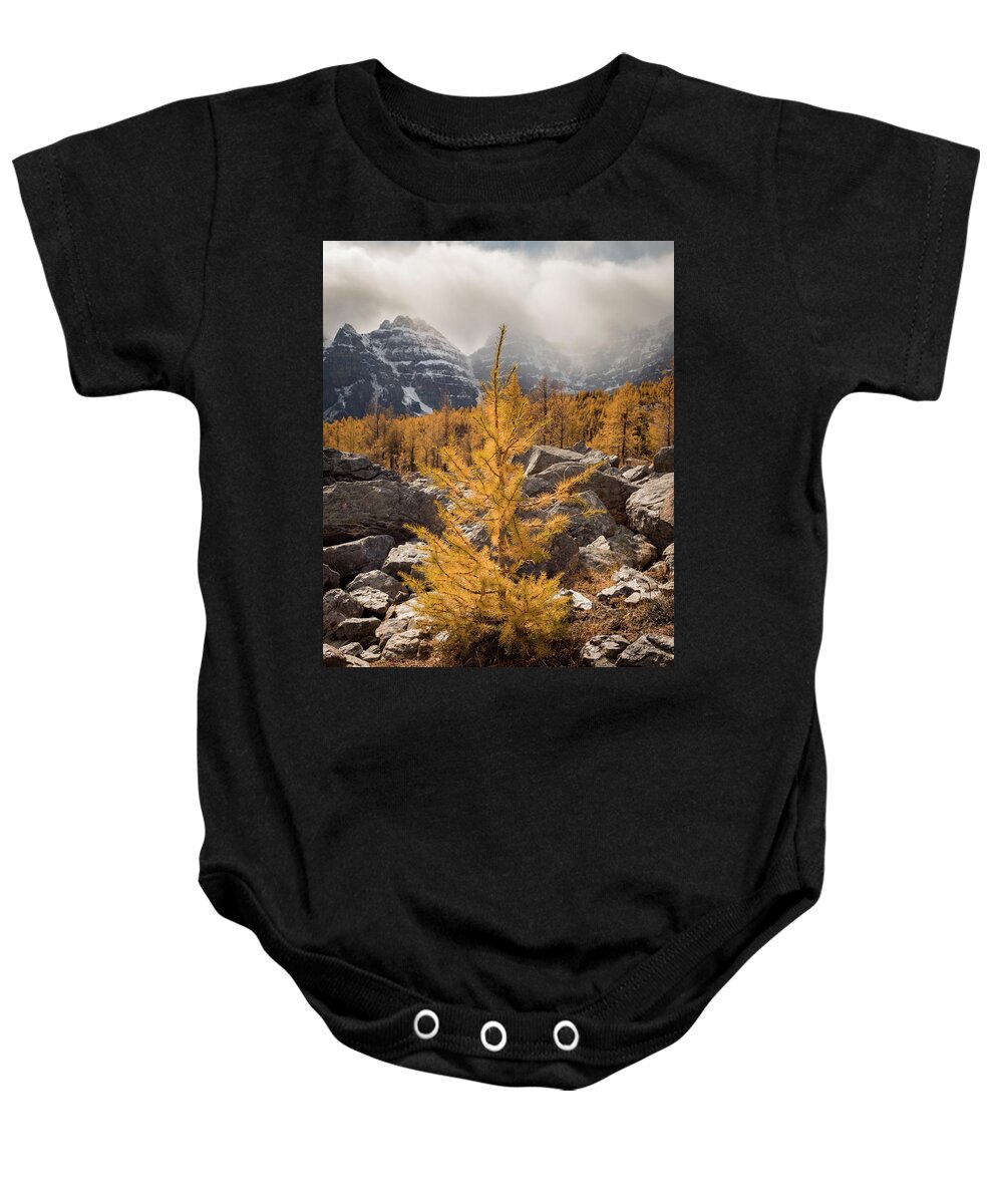 Larch Baby Onesie featuring the photograph Little One by Emily Dickey