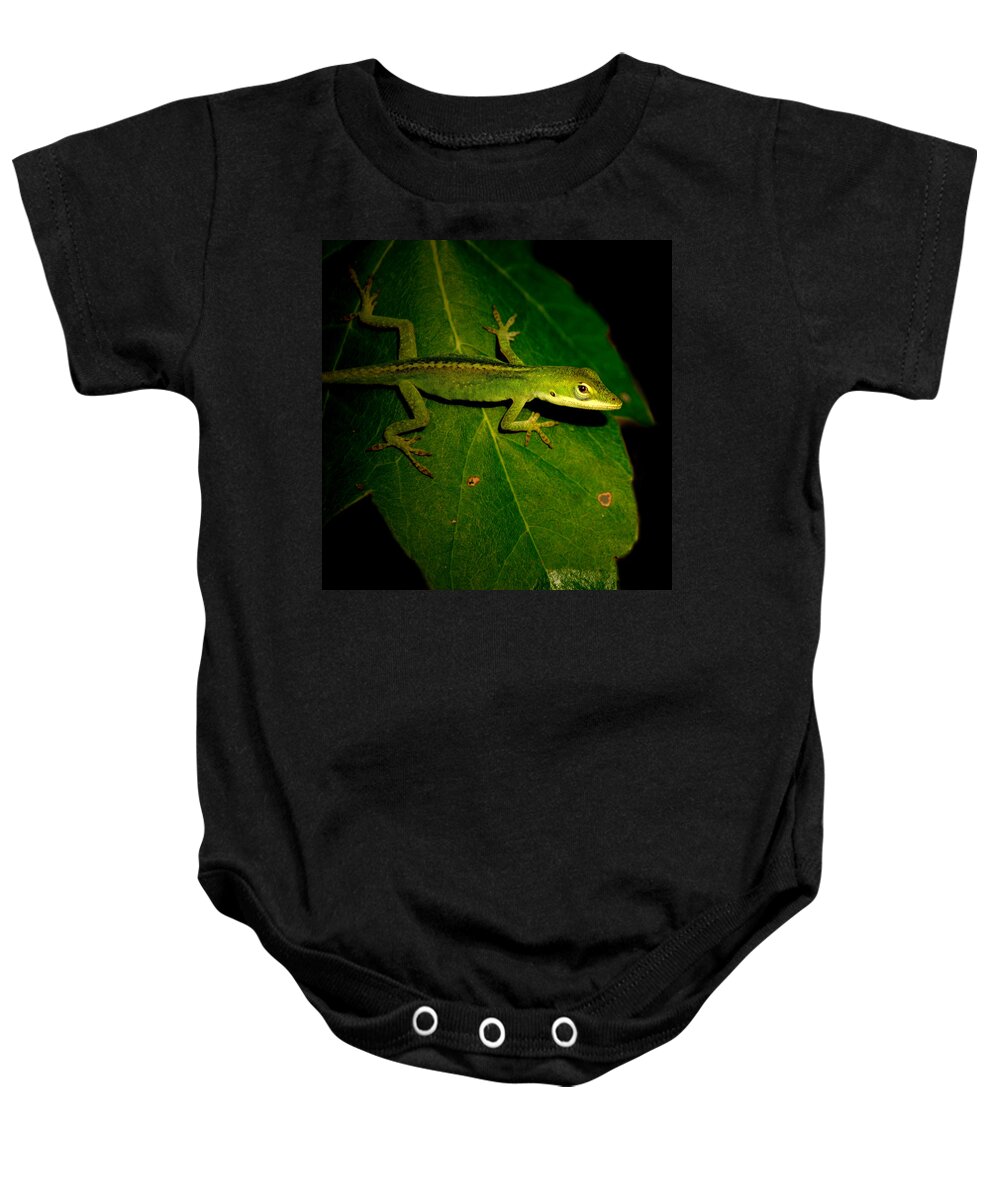  Baby Onesie featuring the photograph Lizard 5 by David Weeks