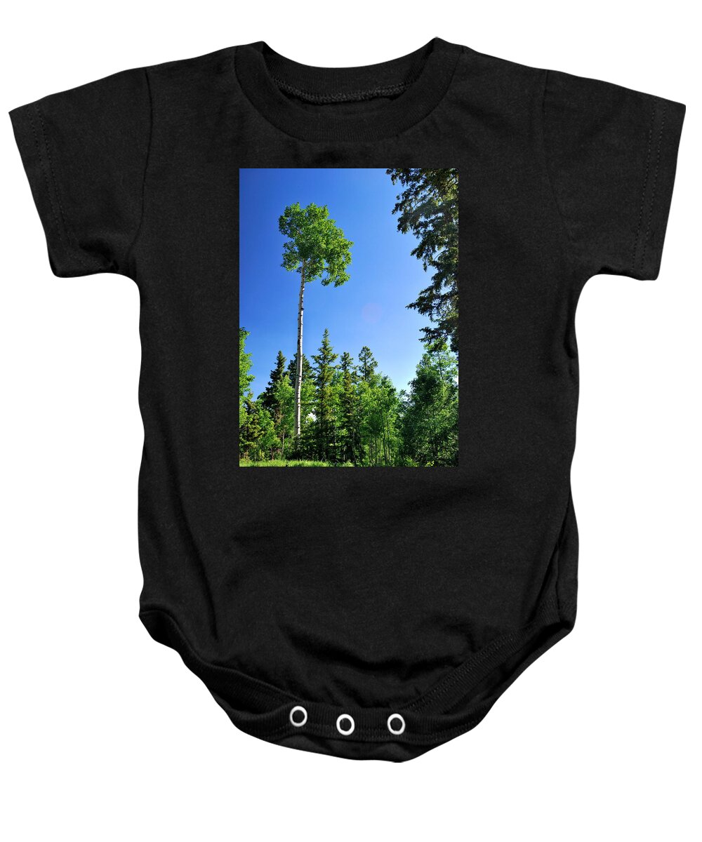 Trees Baby Onesie featuring the photograph Lone Aspen by Ron Cline
