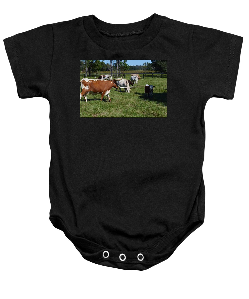 Longhorn Family Baby Onesie featuring the photograph Longhorn Family by Warren Thompson