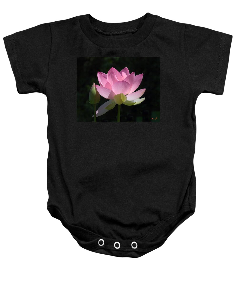 : Baby Onesie featuring the photograph Lotus Bud--Snuggle Bud DL005 by Gerry Gantt