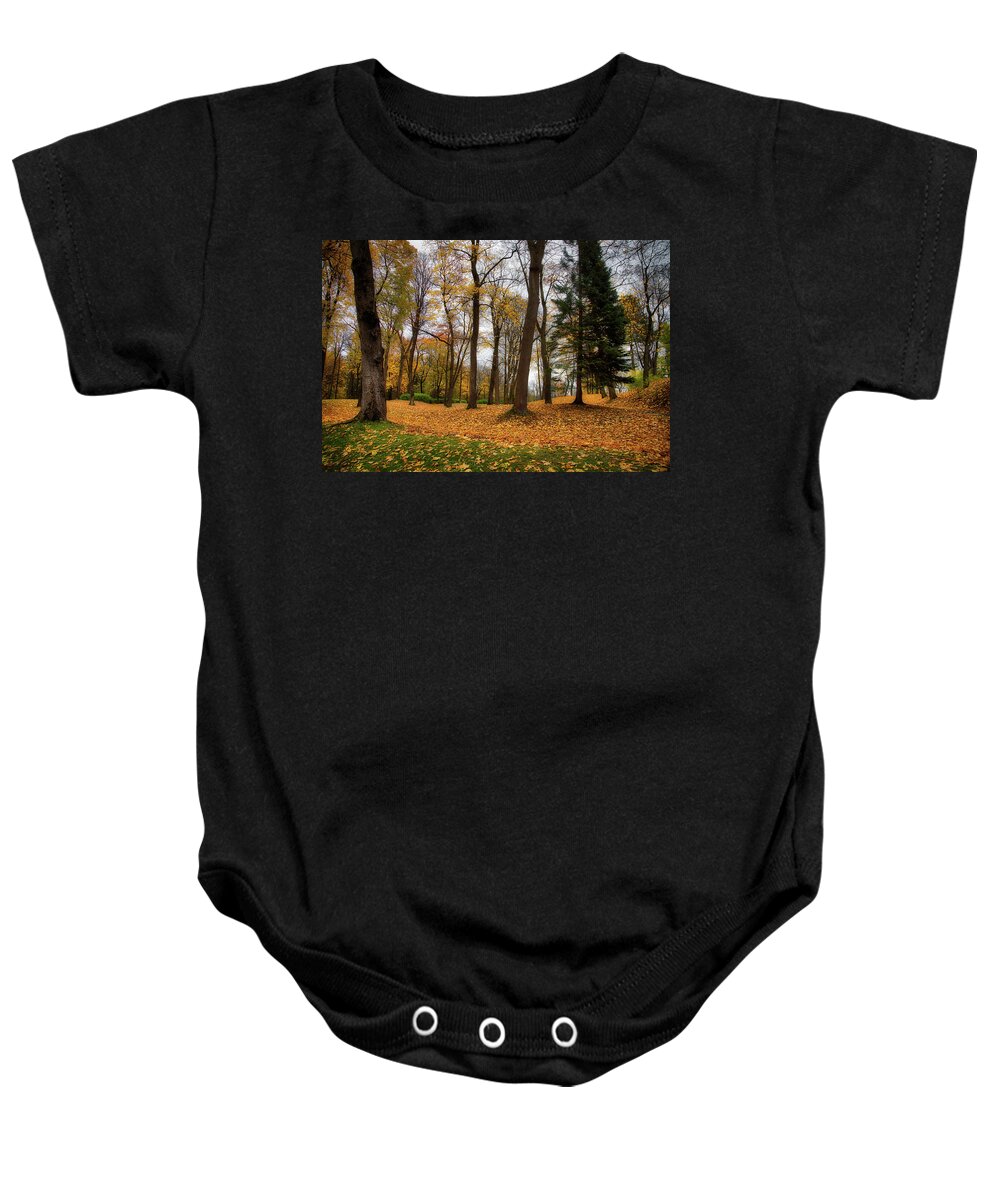 Hdr Baby Onesie featuring the photograph Lysaker Woods by Ross Henton