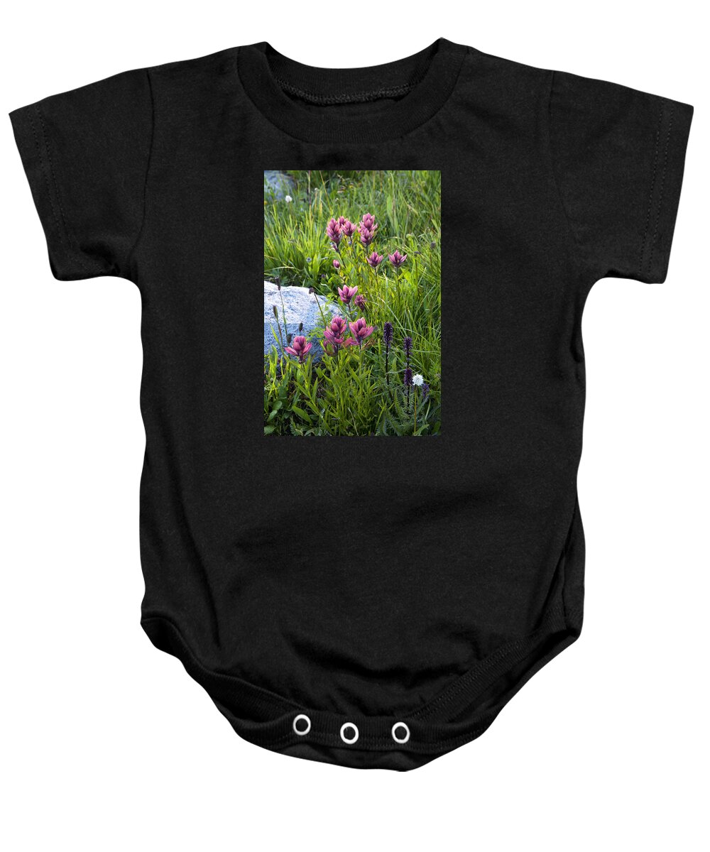 Magenta Baby Onesie featuring the photograph Magenta Meadow by Morris McClung