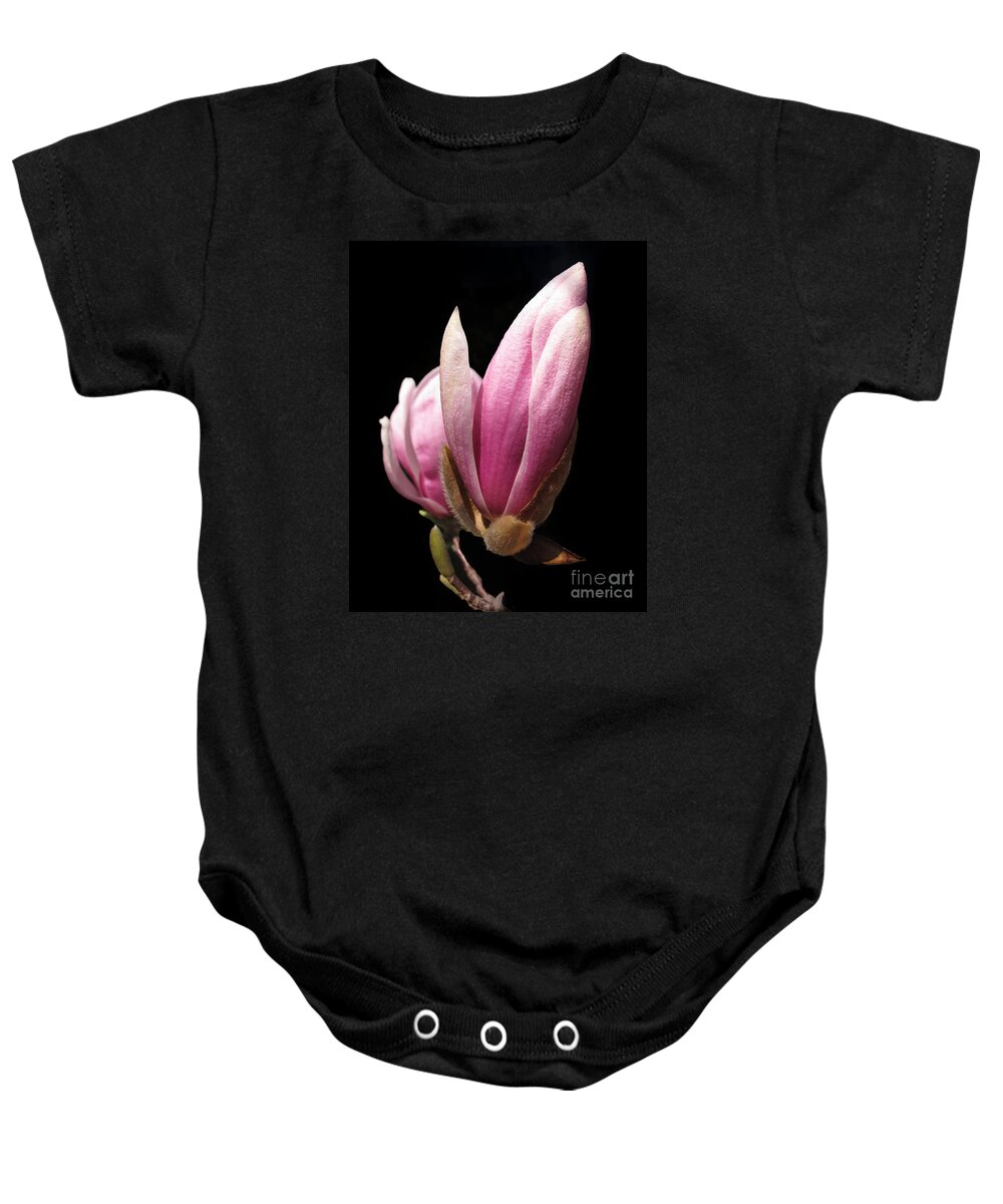 Nature Baby Onesie featuring the photograph Magnolia Tulip Tree Blossom by Arlene Carmel