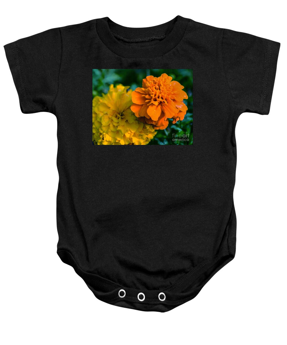 Marigold Baby Onesie featuring the photograph Marigold 1 by Metaphor Photo