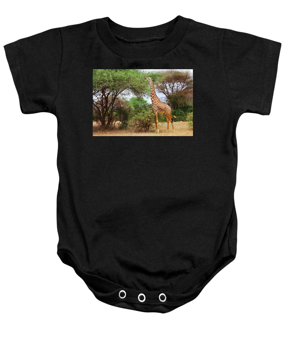 Masai Giraffe Baby Onesie featuring the photograph Masai Giraffe by Ellen Henneke