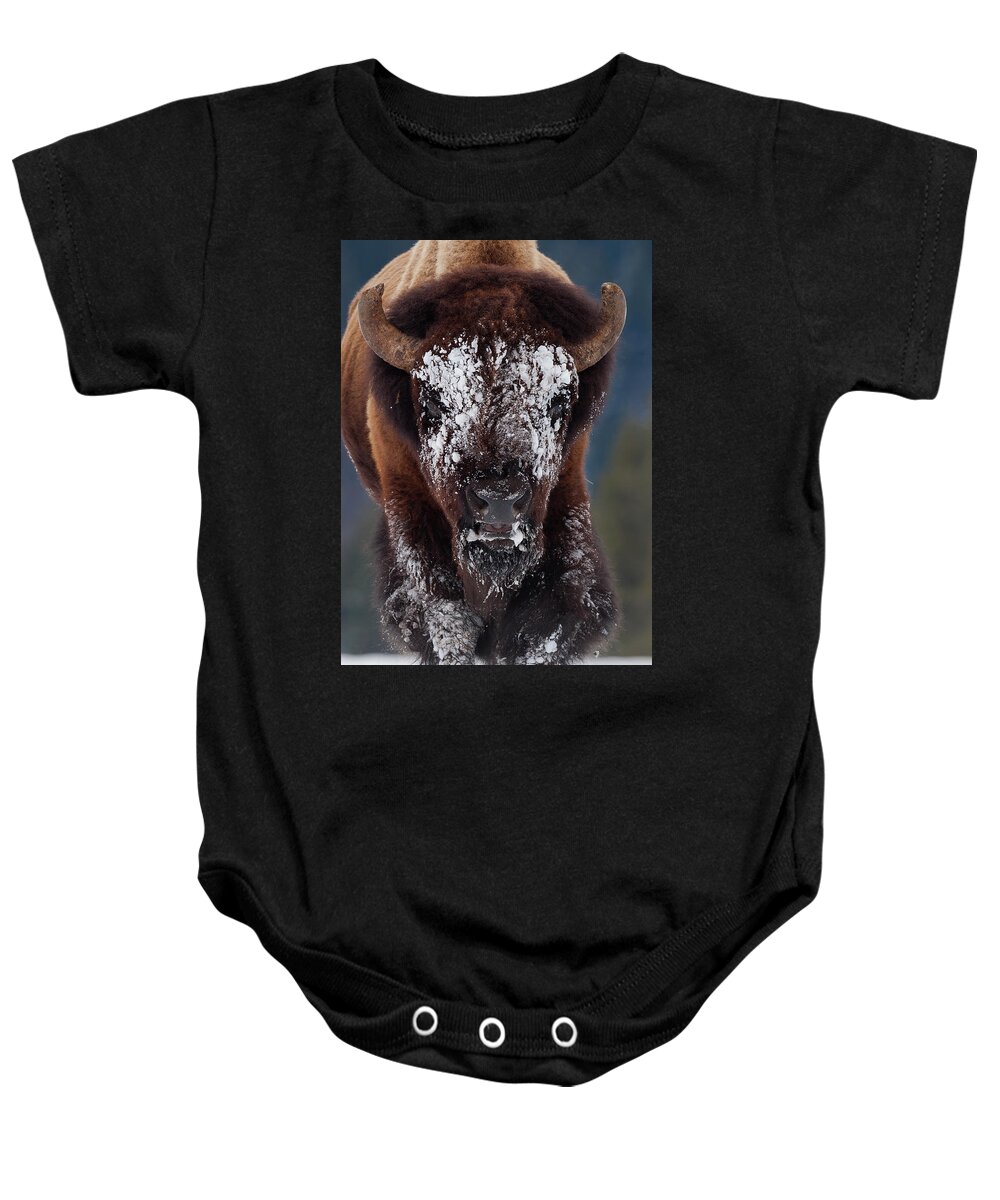 Mark Miller Photos Baby Onesie featuring the photograph Masked Bison II by Mark Miller