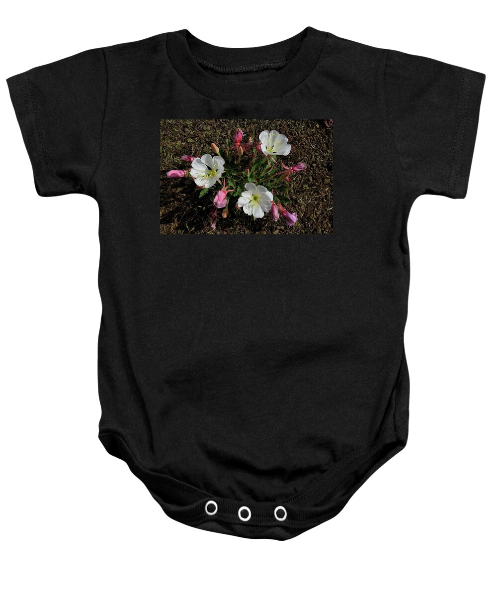 Flowers Baby Onesie featuring the photograph Mesa Blooms by Ron Cline