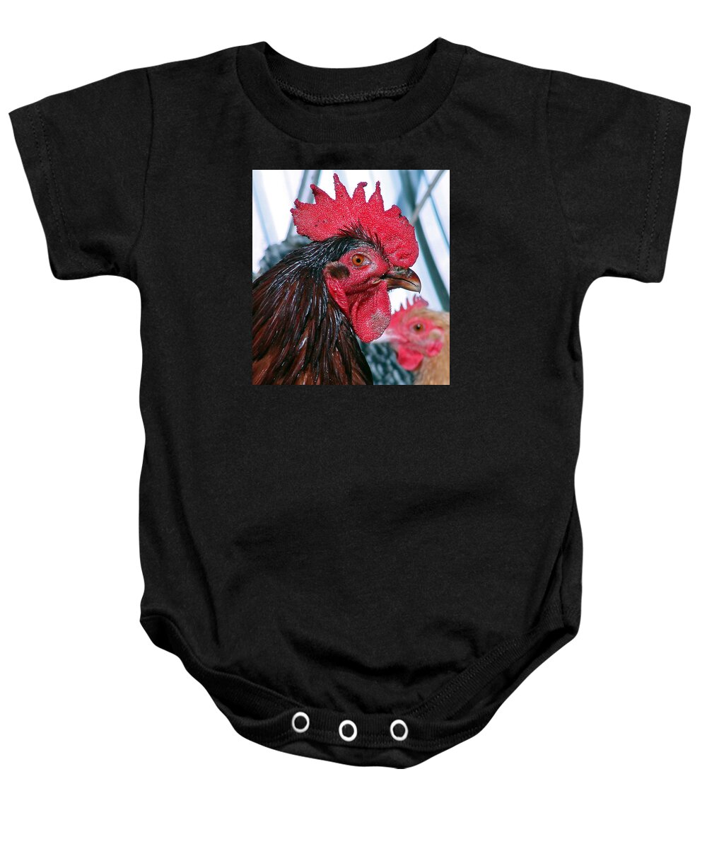Roosters Baby Onesie featuring the photograph Mick by Mary Halpin