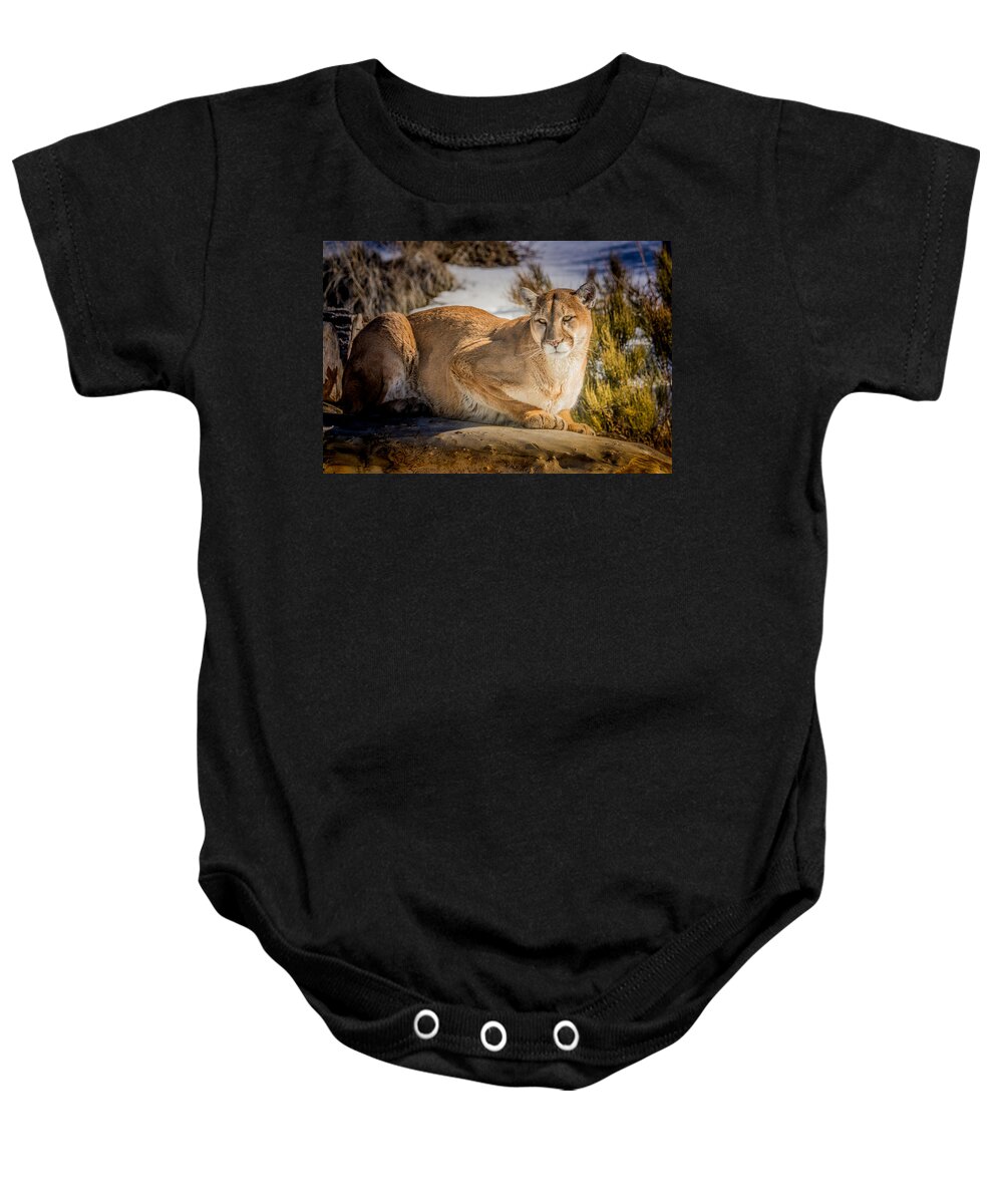 mountain Lion Baby Onesie featuring the photograph Milo at the Ark by Janis Knight