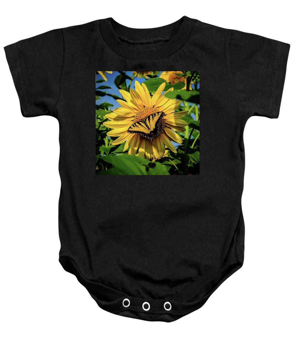 Male Eastern Tiger Swallowtail - Papilio Glaucus Baby Onesie featuring the photograph Male Eastern tiger swallowtail - Papilio glaucus and Sunflower by Louis Dallara