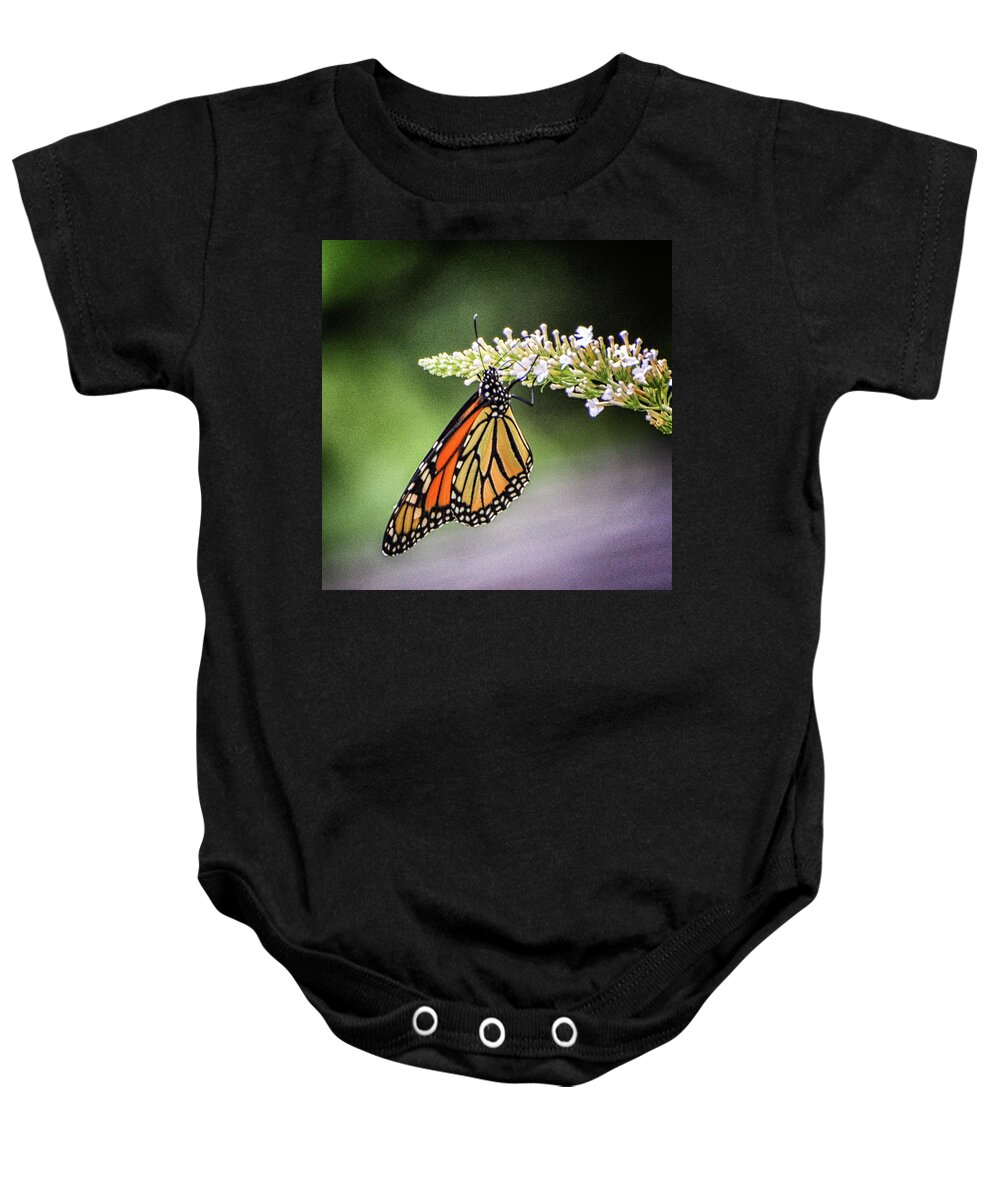 2010 Baby Onesie featuring the photograph Monarch Butterfly by Winnie Chrzanowski