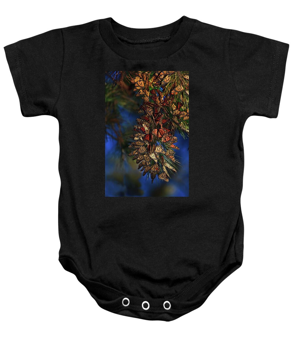 Monarch Cluster Baby Onesie featuring the photograph Monarch Cluster by Beth Sargent