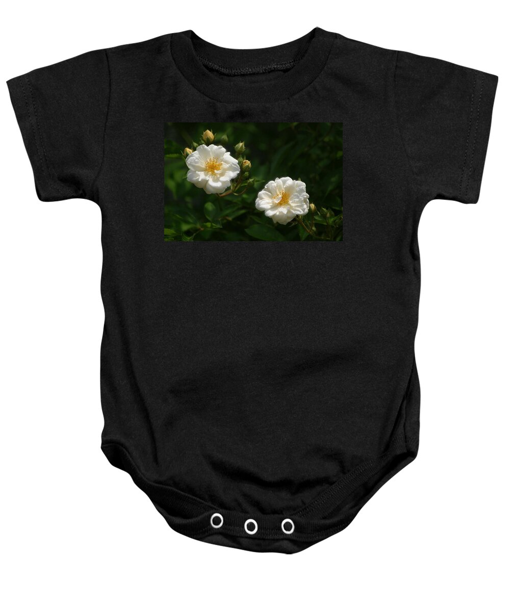 Roses Baby Onesie featuring the photograph Morning Mist by Living Color Photography Lorraine Lynch