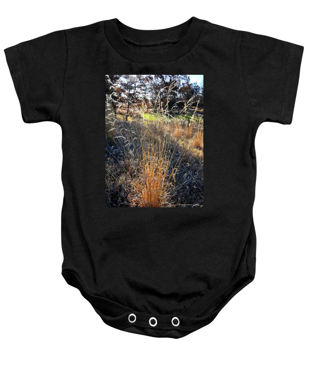 Glacial Park Baby Onesie featuring the photograph Morning Sun Backlights Fall Grasses in Glacial Park by Ray Mathis