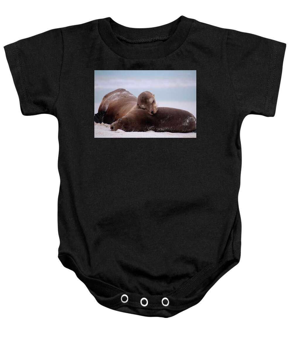 Sea Lions Baby Onesie featuring the photograph Mother's Love by Julia McHugh
